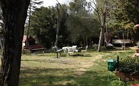 Mdq - Azienda Agricola