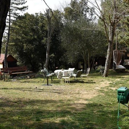 Appartement Mdq - Azienda Agricola à Castiglione dʼOrcia Extérieur photo
