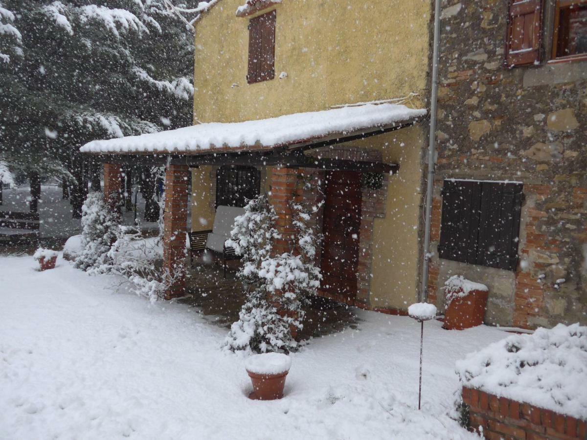 Appartement Mdq - Azienda Agricola à Castiglione dʼOrcia Extérieur photo