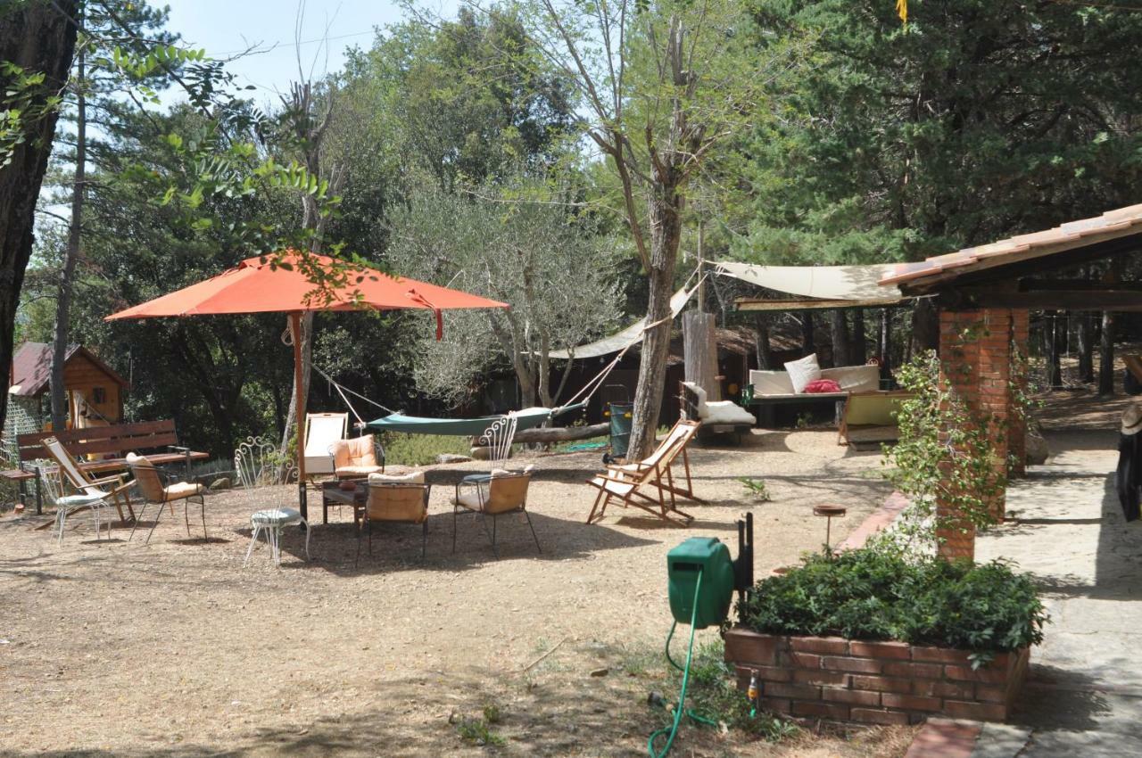Appartement Mdq - Azienda Agricola à Castiglione dʼOrcia Extérieur photo