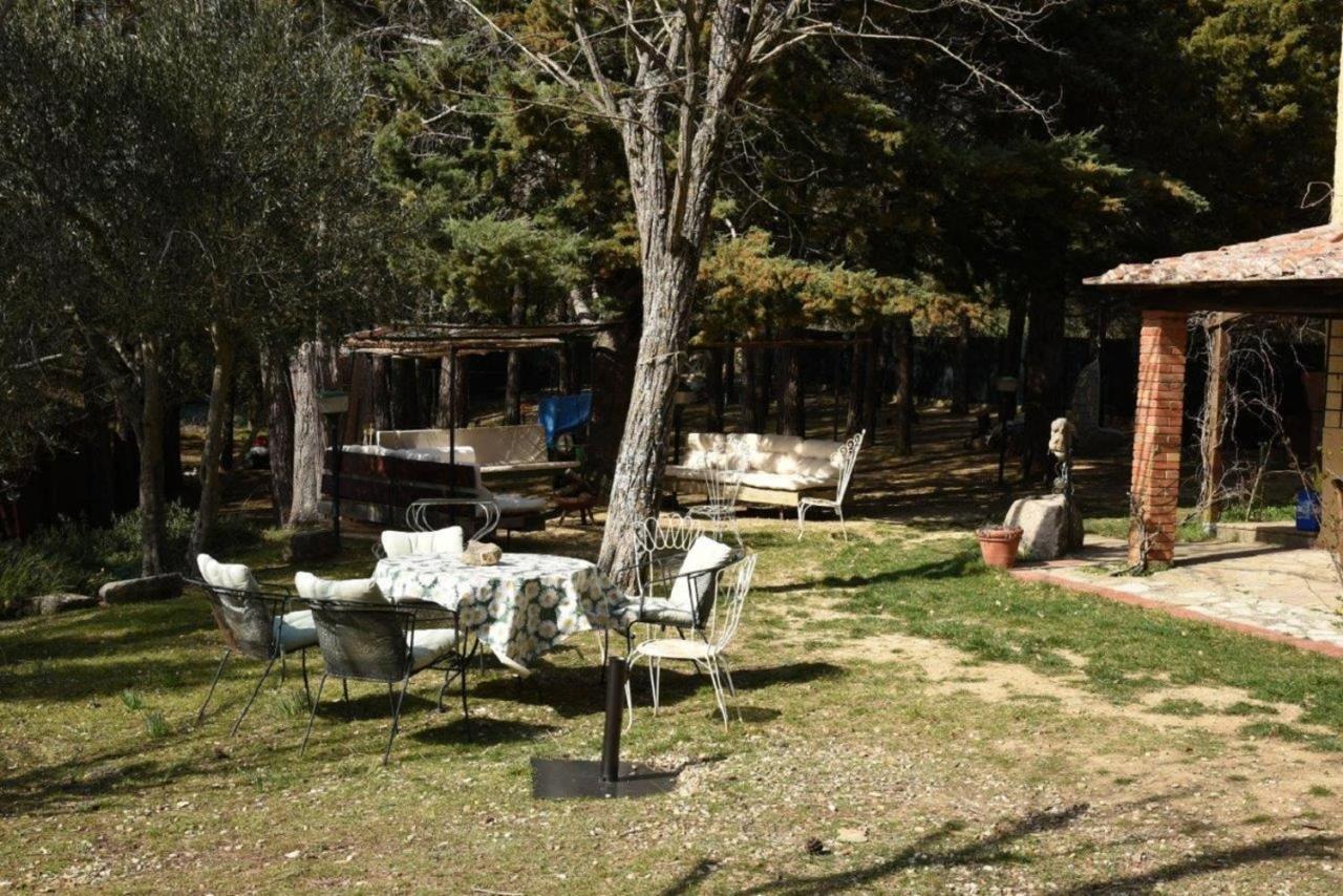 Appartement Mdq - Azienda Agricola à Castiglione dʼOrcia Extérieur photo