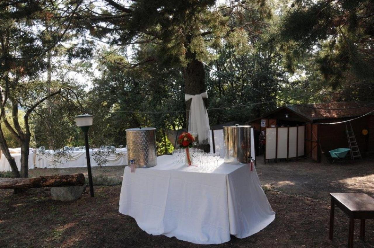Appartement Mdq - Azienda Agricola à Castiglione dʼOrcia Extérieur photo