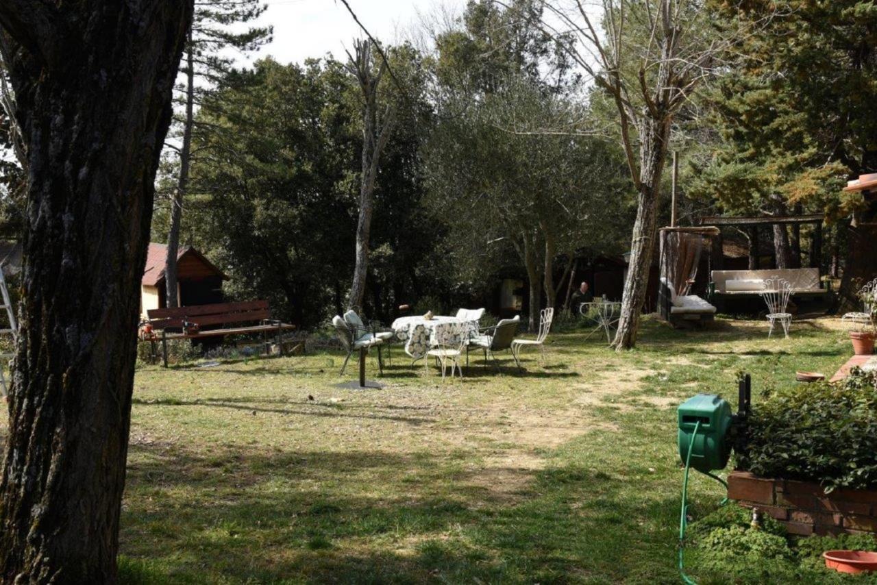 Appartement Mdq - Azienda Agricola à Castiglione dʼOrcia Extérieur photo
